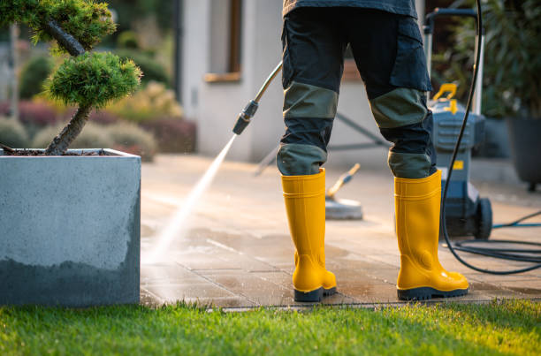 Roof Power Washing Services in Wernersville, PA